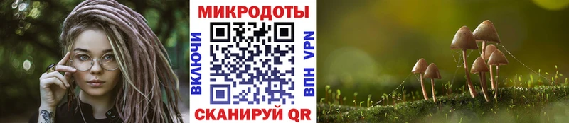 Псилоцибиновые грибы мицелий  Хасавюрт 