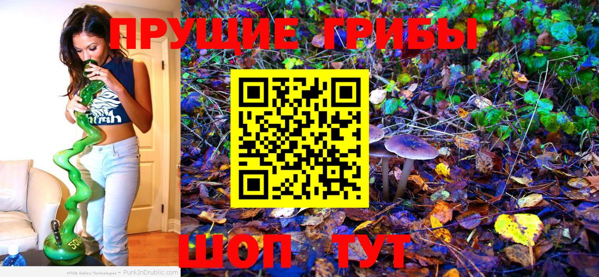Галлюциногенные грибы MAGIC MUSHROOMS  Вход с VPN  Хасавюрт  Псилоцибиновые грибы ЛСД 