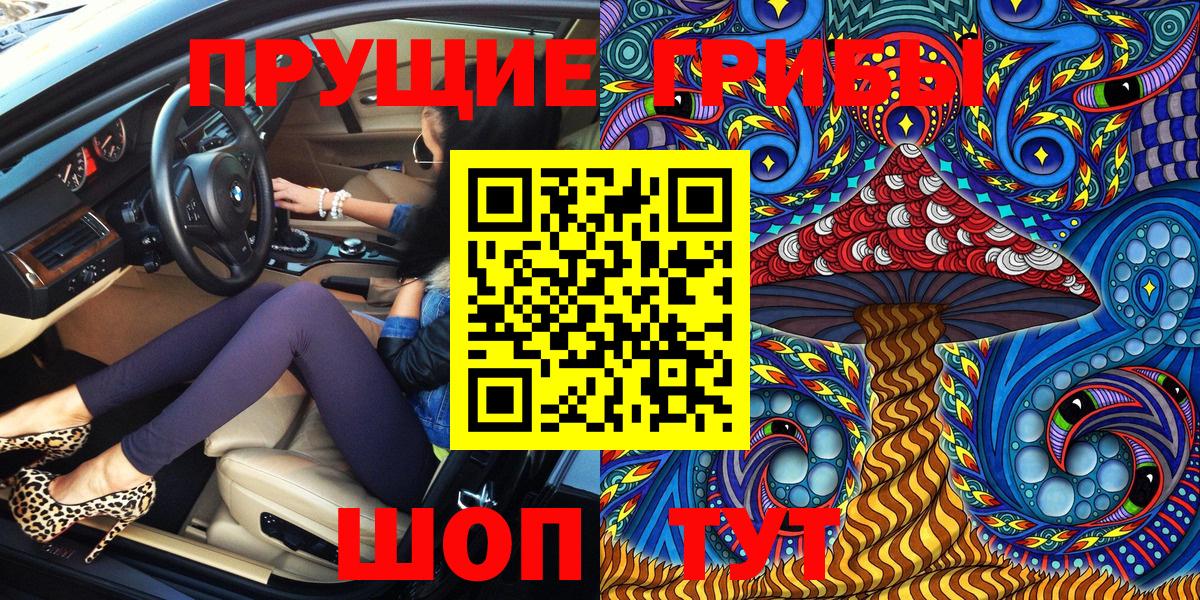 Галлюциногенные грибы Cubensis Хасавюрт